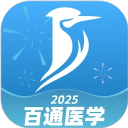 篮球大师